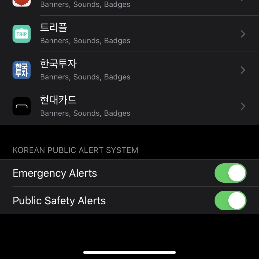 iOS 13.4 에서 재난문자 채널이 나뉘어진 모습